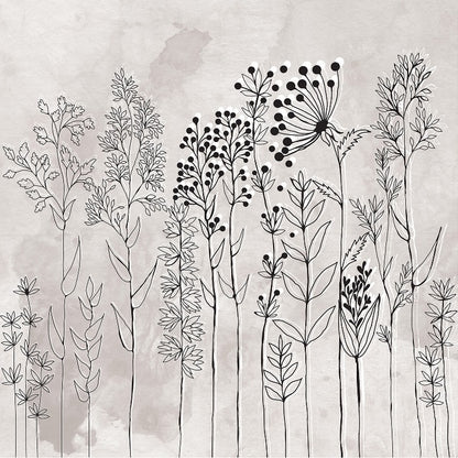Botanical Ink Sketch ( ORI 103 )