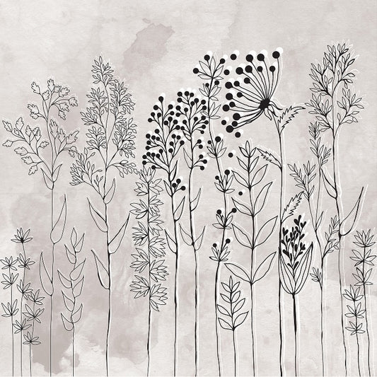 Botanical Ink Sketch ( ORI 103 )