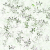 Sage Songbird Vine ( ORI 115 )