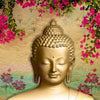 Golden Serenity ( ORI 118 )