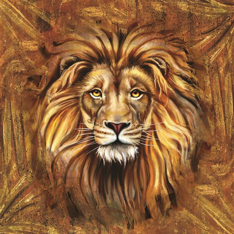 lions gaze ( ori 126 )
