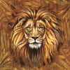 Lions Gaze ( ORI 126 )