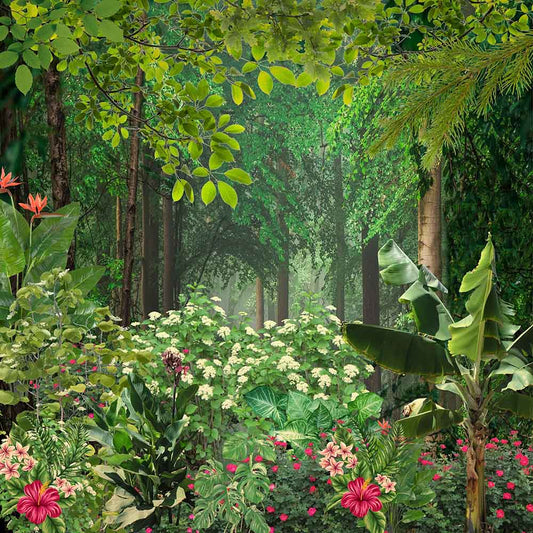Tropical Paradise ( ORI 136 )