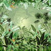 Misty Rainforest ( ORI 137 )