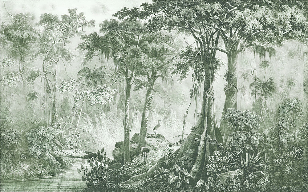 foret (pam 148)