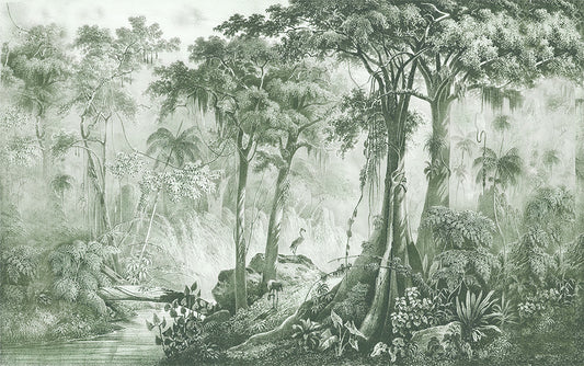 FORET (PAM 148)