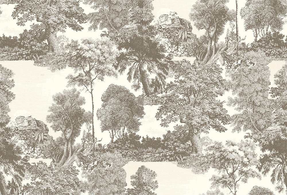 tapestry (pam 152)