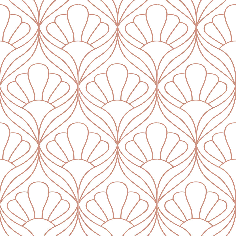 scallop(pink) (par 120)