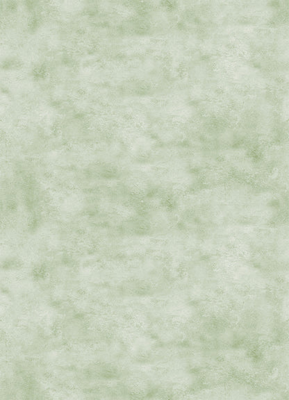 Ciel(Green) (PAR 141)