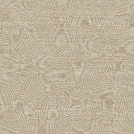Golden Zenith Arcs (PH 3305)