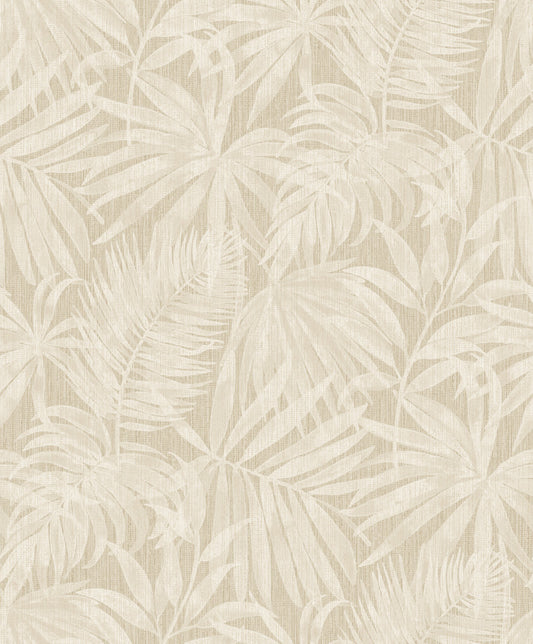 Sandy Oasis Fronds (PH 3403)