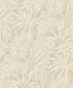 Sandy Oasis Fronds (PH 3403)