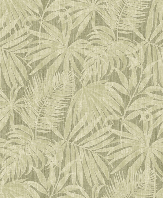 Sage Canopy Layer (PH 3407)
