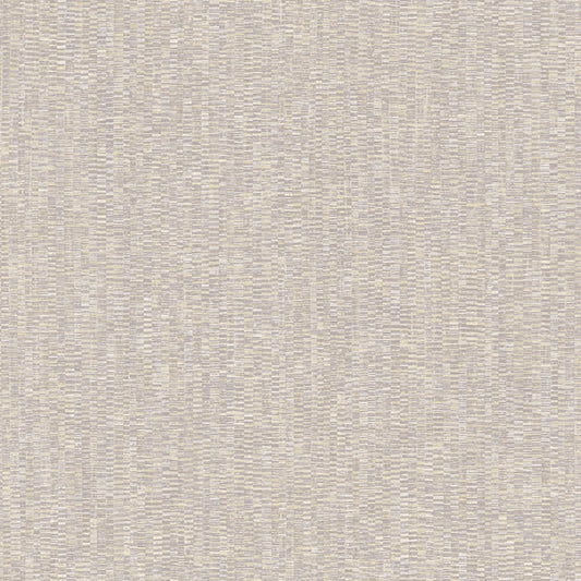 Discount Sale(PM 1004)