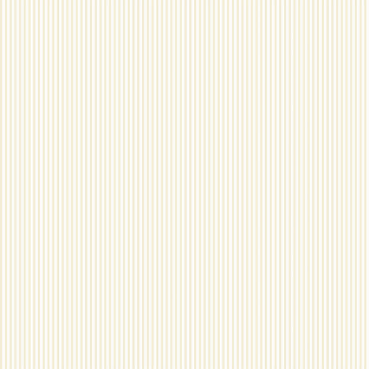 Linear stripes (POL 104)
