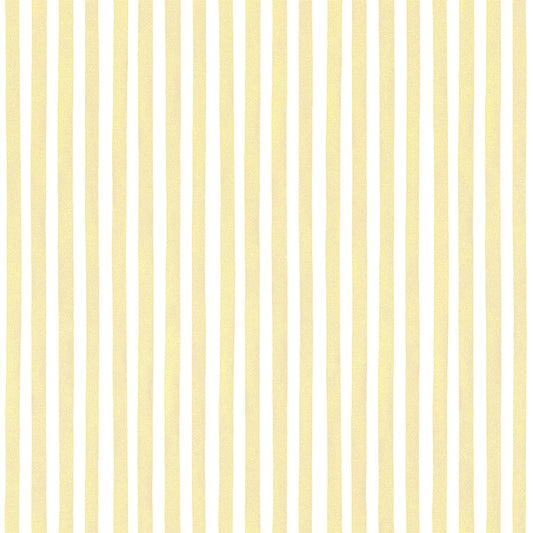 Linear stripes (POL 107)