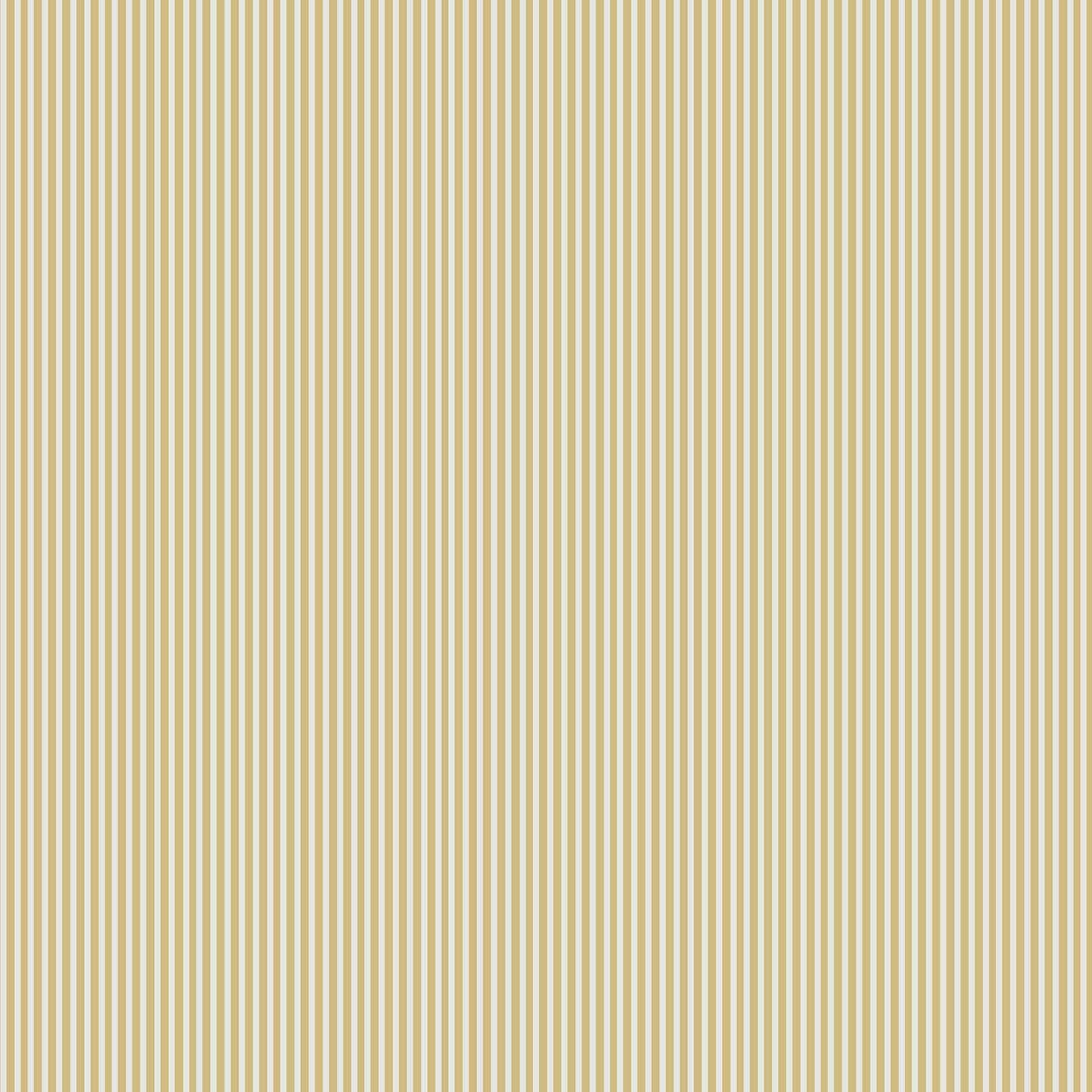 linear stripes (pol 108)