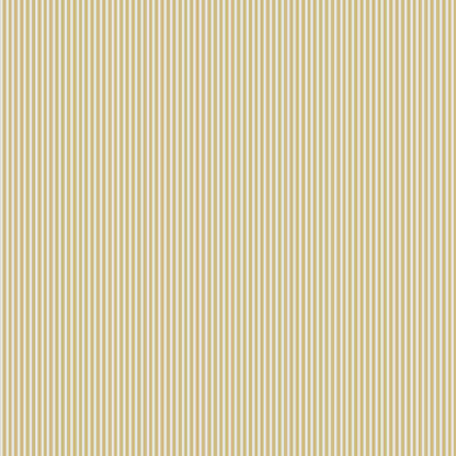 Linear stripes (POL 108)