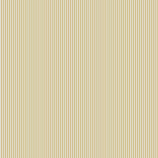 Linear stripes (POL 108)