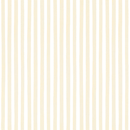 Linear stripes (POL 132)