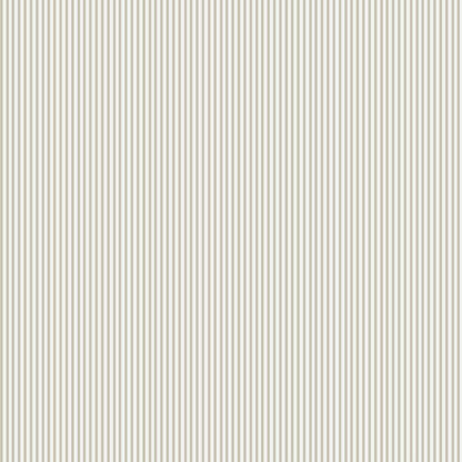 Linear stripes (POL 150)