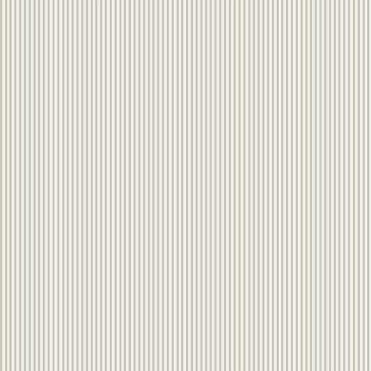 Linear stripes (POL 150)