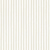 Linear stripes (POL 154)