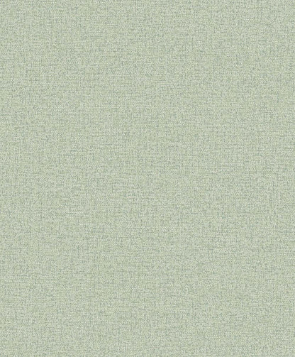Textured Sage Green (PW 1111)