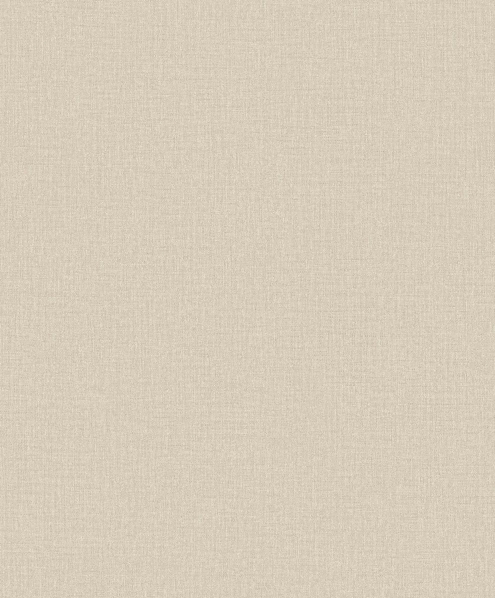 slate gray with mottled texture (pw 1204)