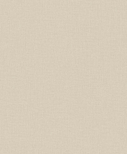 Slate Gray with Mottled Texture (PW 1204)