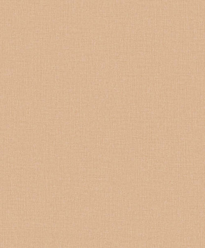 Dark Brown with Faint Texture (PW 1212)