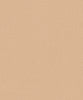 Dark Brown with Faint Texture (PW 1212)
