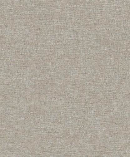 Dark Gray Dotted Texture (PW 1308)