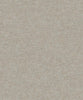 Dark Gray Dotted Texture (PW 1308)