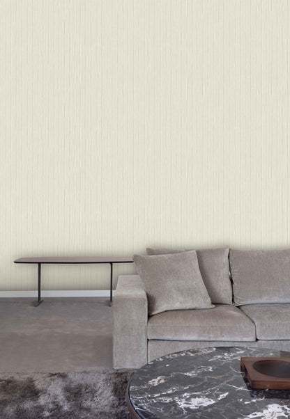 Soft Gray Plaster Texture (PW 4002)