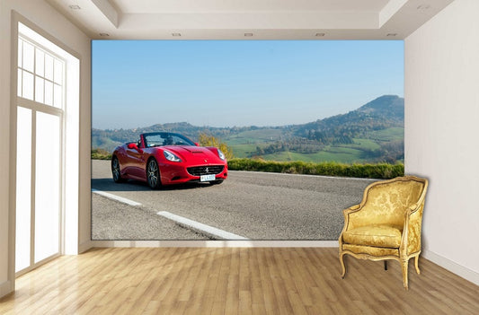 Red Ferrari Drive ( SPO 104 )