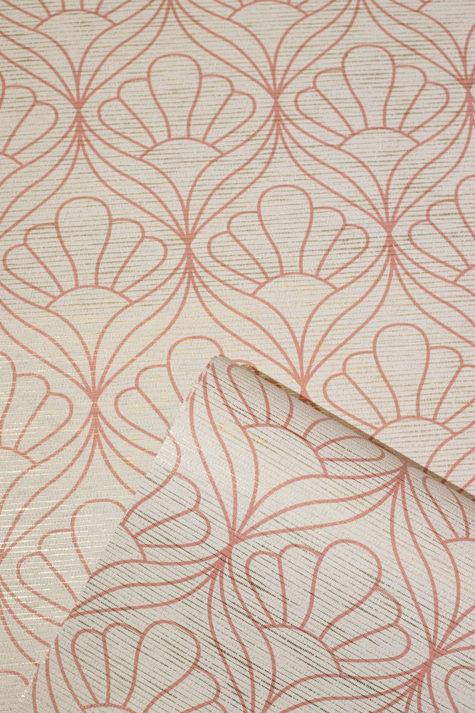 scallop(pink) (par 120)