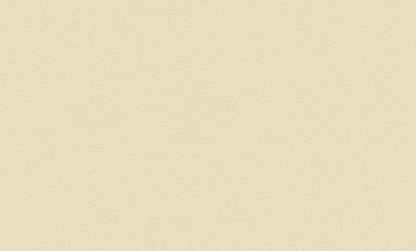 Neutral Glow(UI 1004)