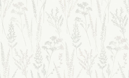 Meadow Mist(UI 3201)