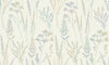 Meadow Mist(UI 3202)