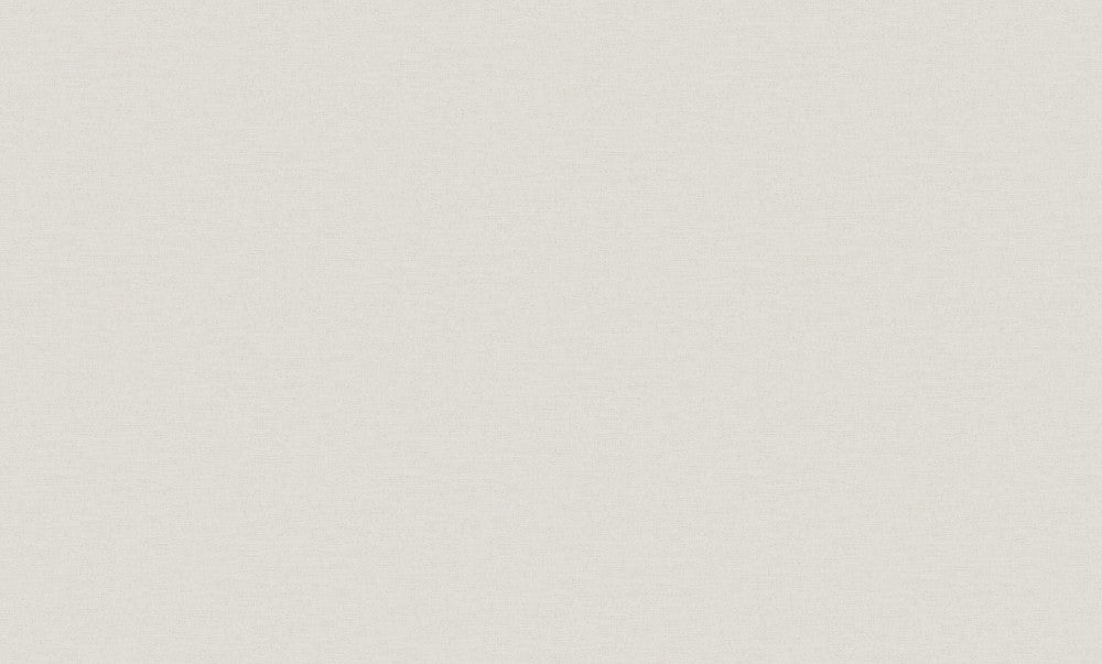 mist grey linen (ve 1109)