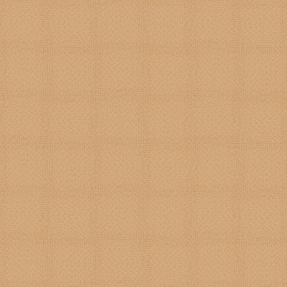KANTHA(Warm Ochre) (VIR 158)