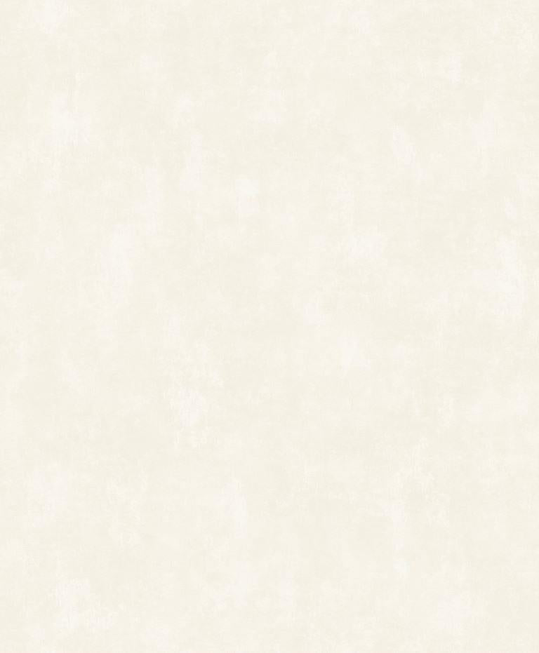 cloud cover(vr 1111)