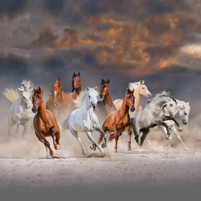 Galloping Stallions ( WLF 100 )