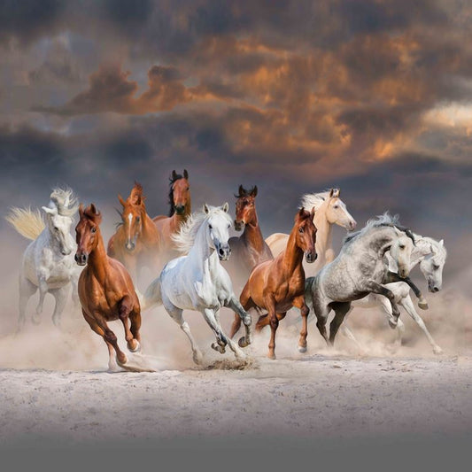Galloping Stallions ( WLF 100 )