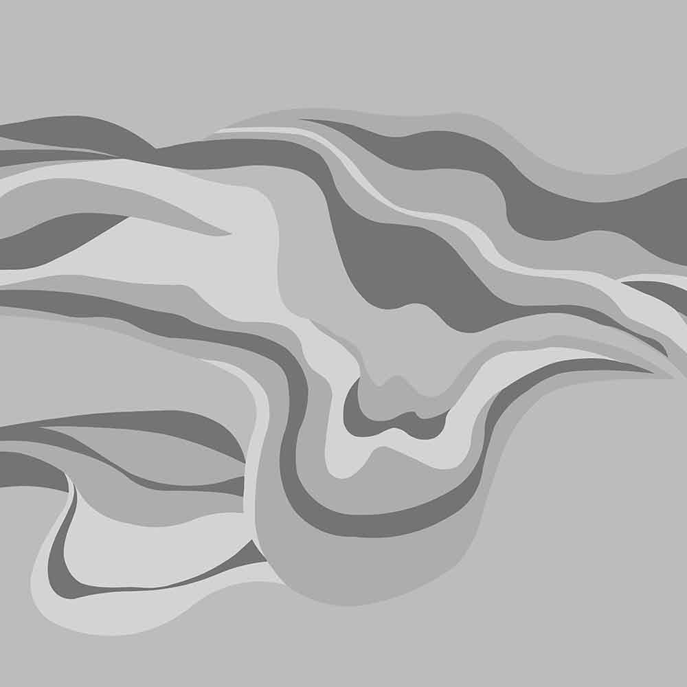 sandstone waves(grey) ( zha 103 )