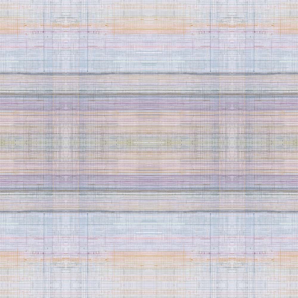 gridlines(orchid) ( zha 144 )