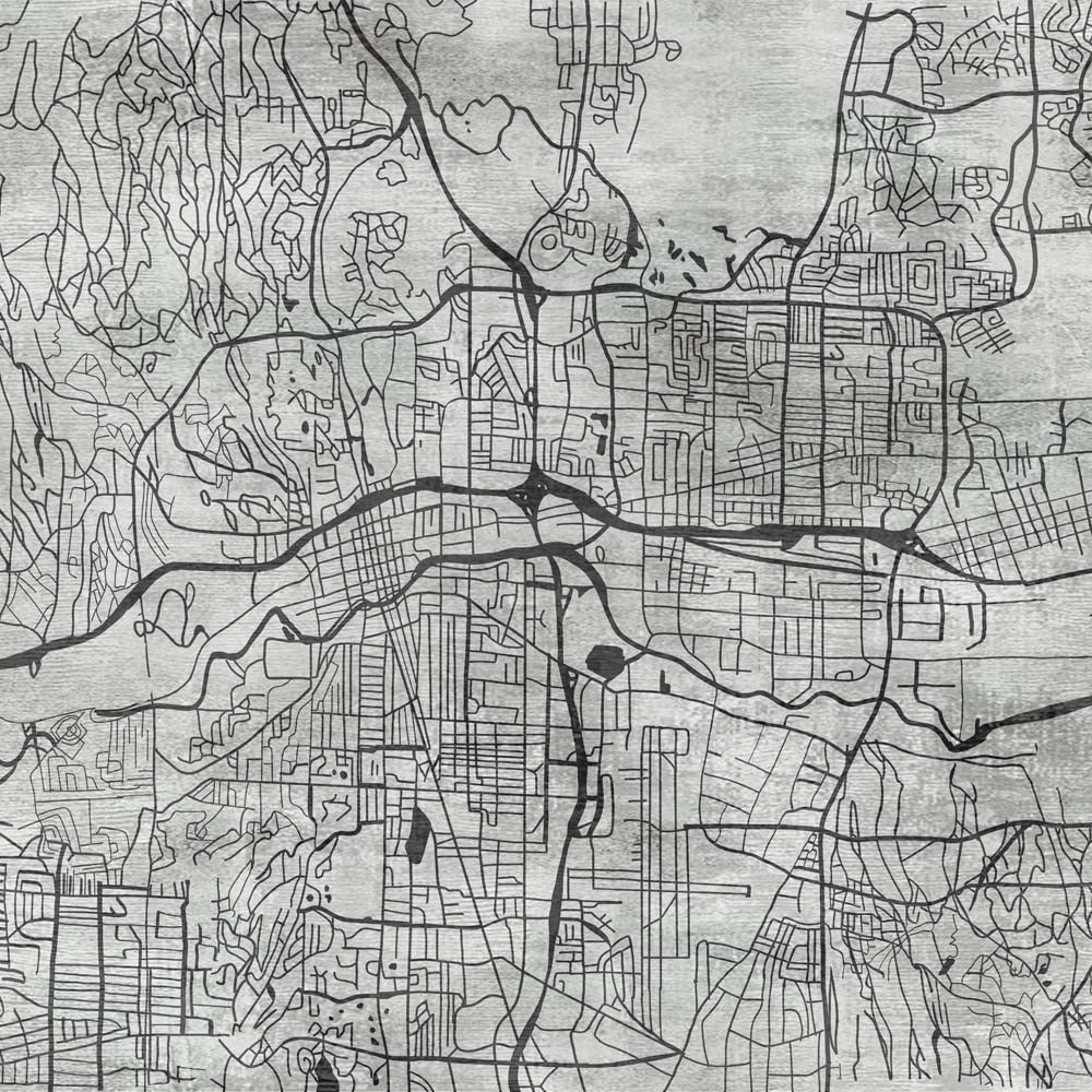 urban veins(black and white) ( zha 173 )