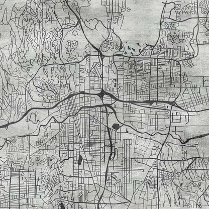 Urban Veins(Black and White) ( ZHA 173 )