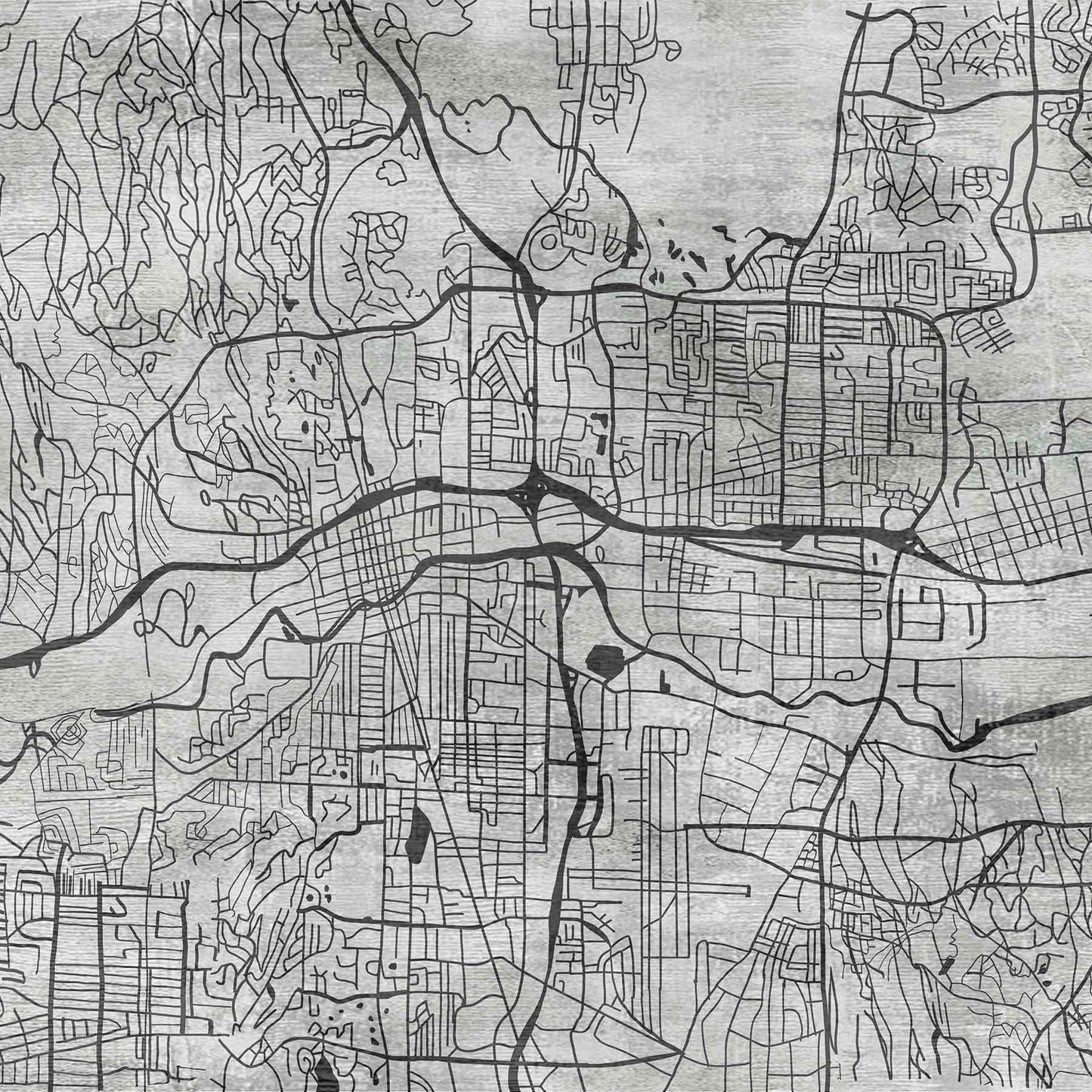 urban veins(black and white) ( zha 173 )